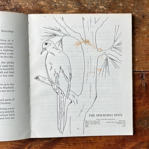 Birds To Know Vintage 60’s Colouring And Lesson Book - Picture 5 of 14